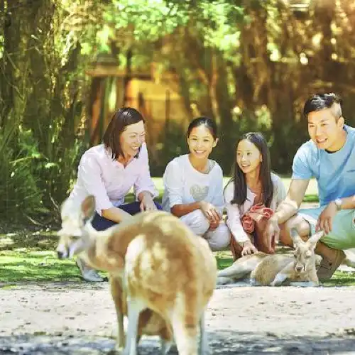 Top 10 Best Things to Do in Perth