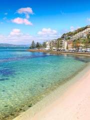 Oriental Bay