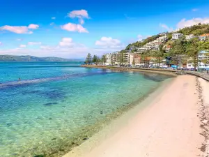 Oriental Bay