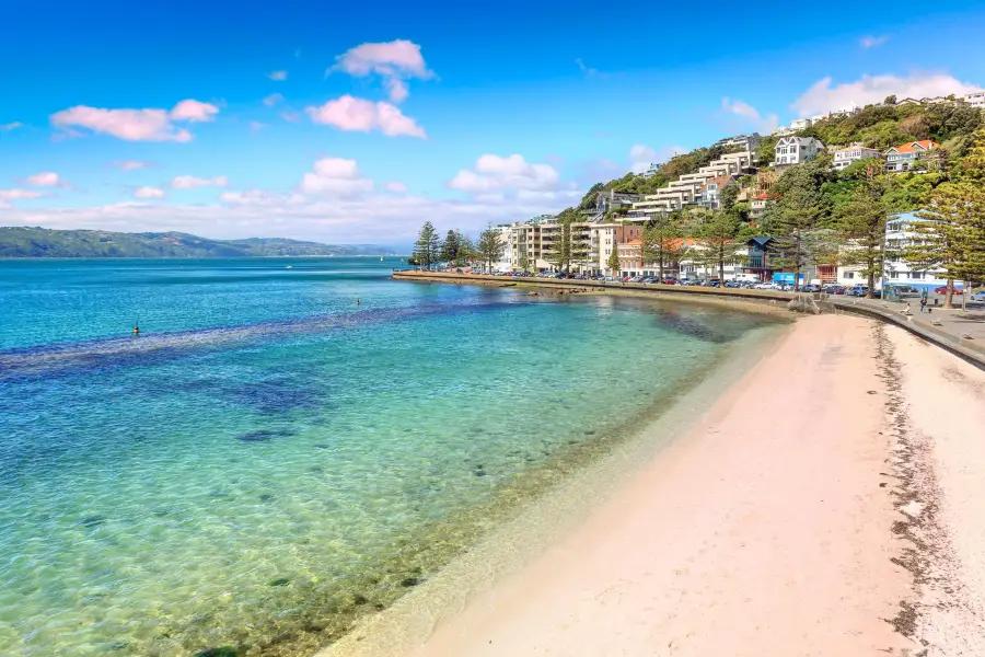 Oriental Bay