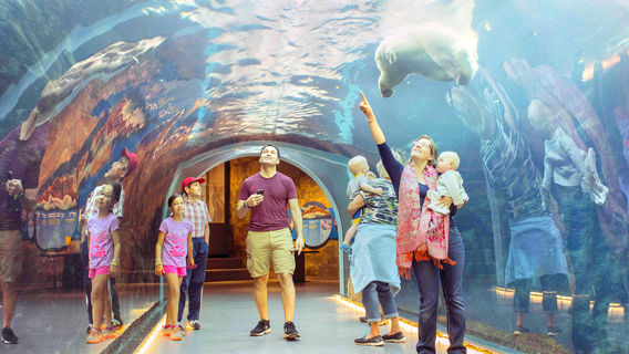 Assiniboine Park Zoo