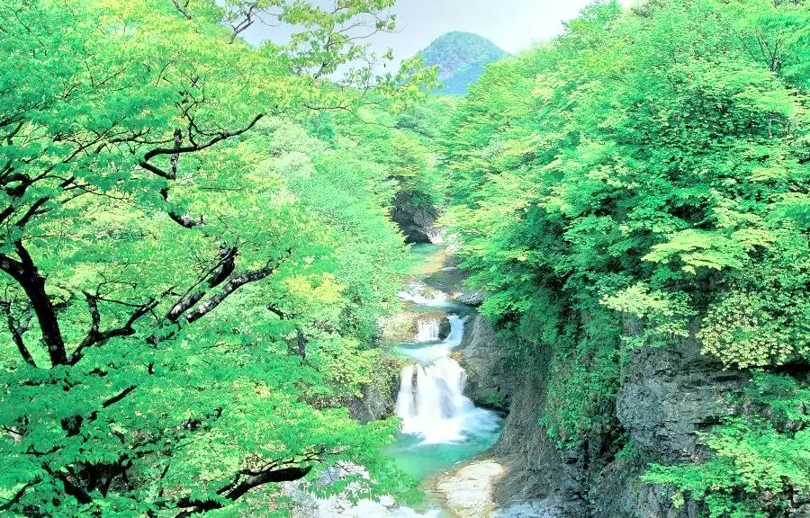 Homei Shijuhachi Falls