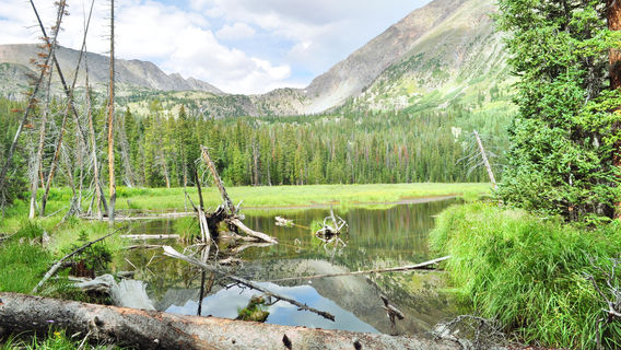 Парк Бракенридж