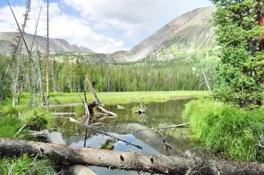 鄰近布雷根里基公園的酒店