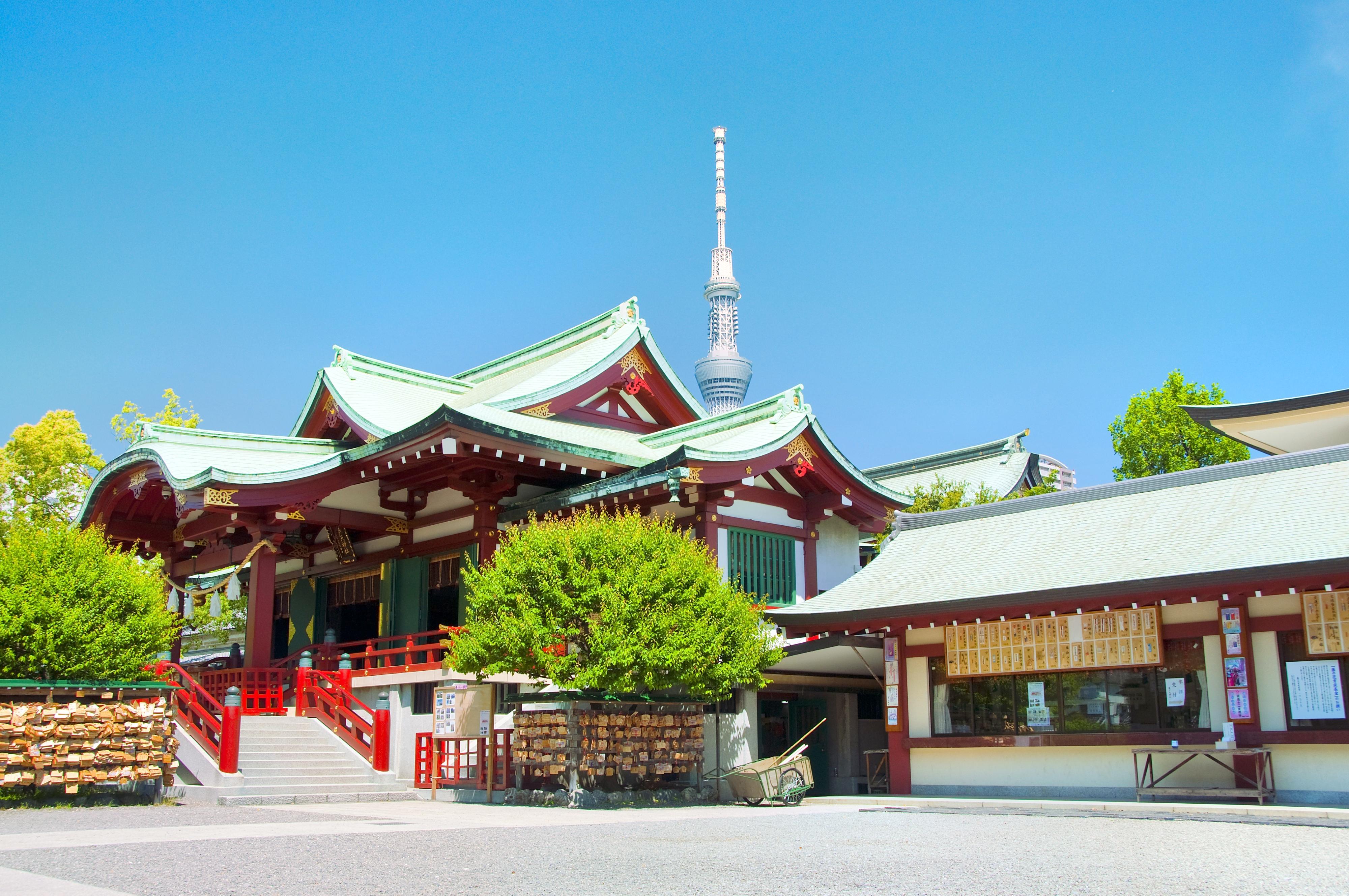 大判手彩色古写真 東京 亀戸天神の藤棚 明治期