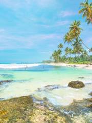 Angel Beach Unawatuna - Premier Luxury Beach Club