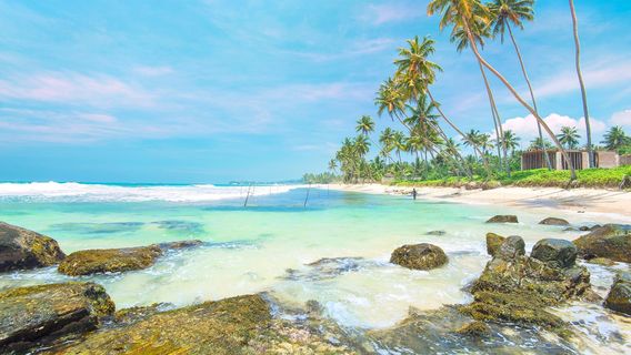 Galle