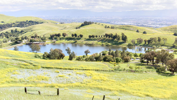 Ed R. Levin County Park