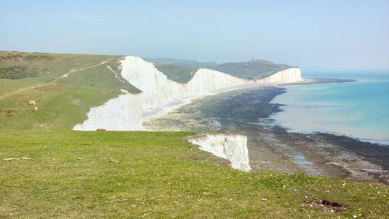 Brighton Pier + Seven Sisters National Park + Brighton Museum and Art Gallery one-day tour