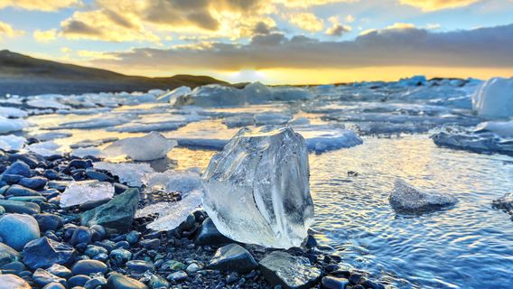ReykjavikExperiences