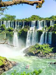 Nationalpark Iguazú