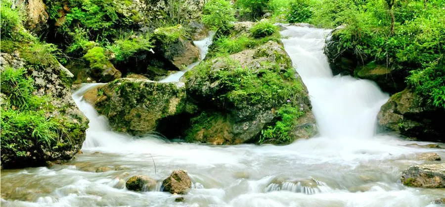 Water Fun Attractions