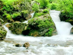 Luheyuan Scenic Area