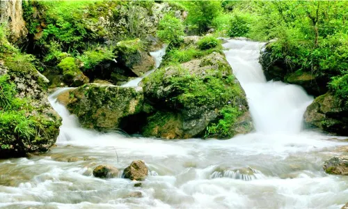 Luheyuan Scenic Area