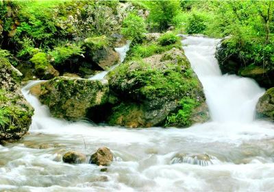 Luheyuan Scenic Area