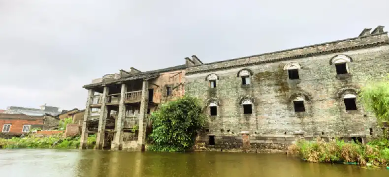 Borrman Properties in Pingle