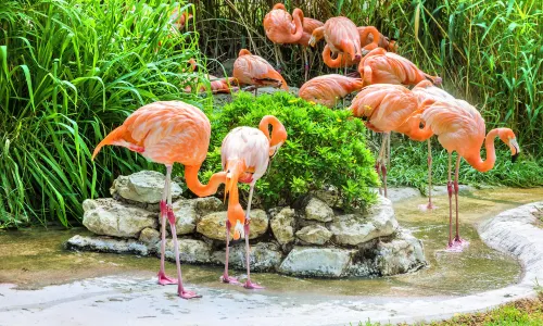 zoo di Lisbonne