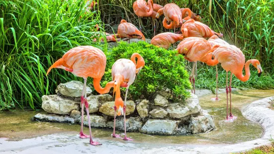 リスボン動物園