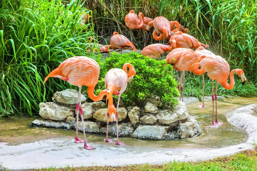 Lisbon Zoo