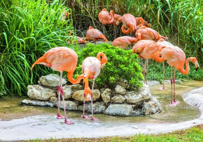 Zoo de Lisbonne