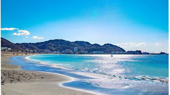 Kamakura Seaside Park