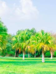 Guangzhou Voluntary Tree Planting Park