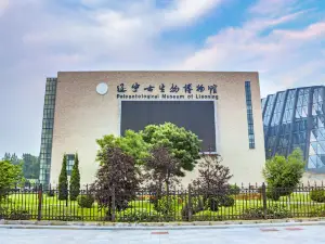 Paleontological Museum of Liaoning