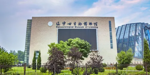 遼寧古生物博物館