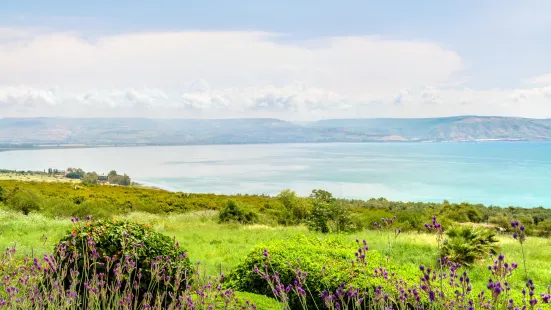 Mount of Beatitudes