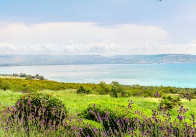 Mount of Beatitudes