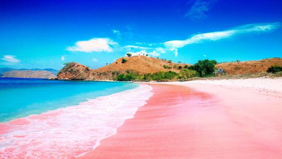 Isla Komodo