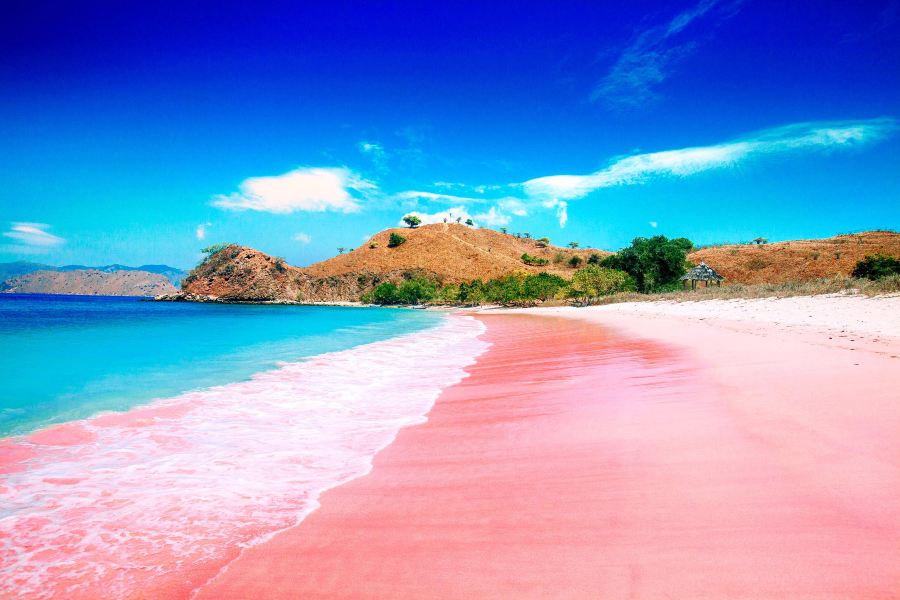 科莫多島