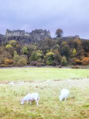 Castillo de Stirling