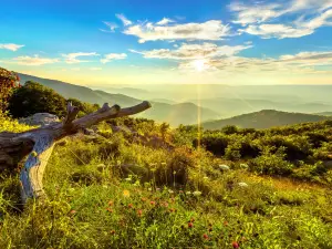 Parc national de Shenandoah