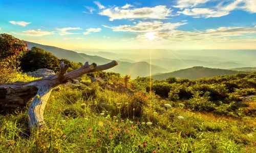 Shenandoah-Nationalpark