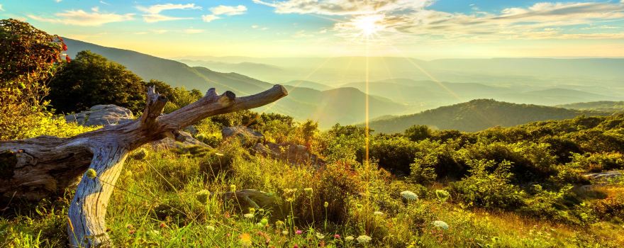 Parc national de Shenandoah