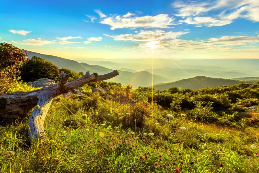 Shenandoah National Park