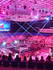 JF Boxing Muay Thai Stadium Pattaya 中泰國際