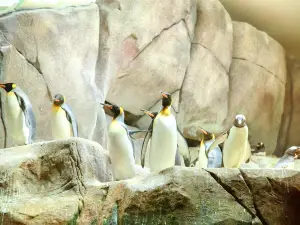 Hagenbeck Zoo