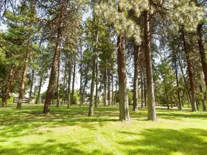 波特蘭森林公園