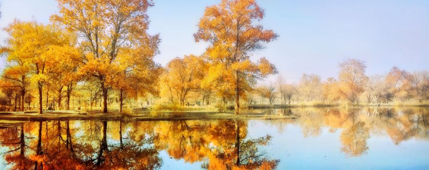 新疆巴音郭楞蒙古自治州旅游交通攻略:从乌鲁木齐到库尔勒市怎么走 新疆巴音郭楞蒙古自治州旅游交通攻略:从乌鲁木齐到库尔勒市怎么走