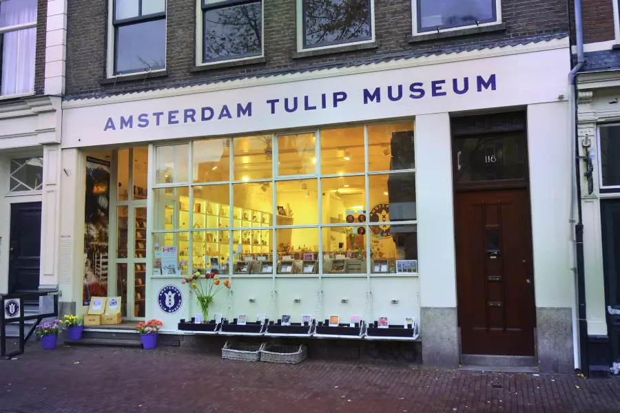 阿姆斯特丹鬱金香博物館