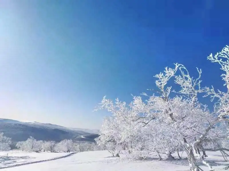 大禿頂子山