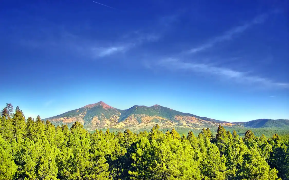 플라그스타프 산 주변 호텔