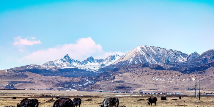 Litang Grassland