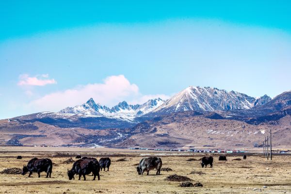 Litang Grassland