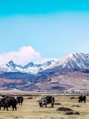 Litang Grassland