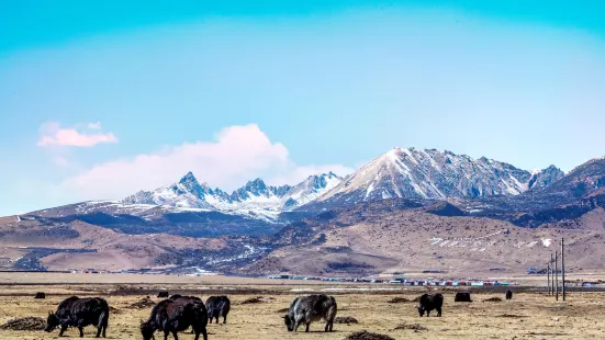 Litang Grassland