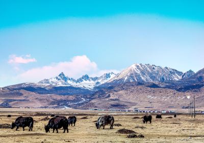 Litang Grassland