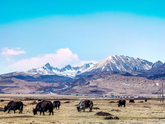 Litang Grassland